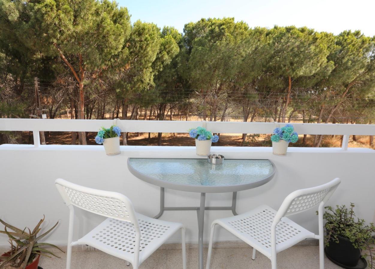Cozy Holiday Apartment In Larnaca Near Foinikoudes Exteriör bild