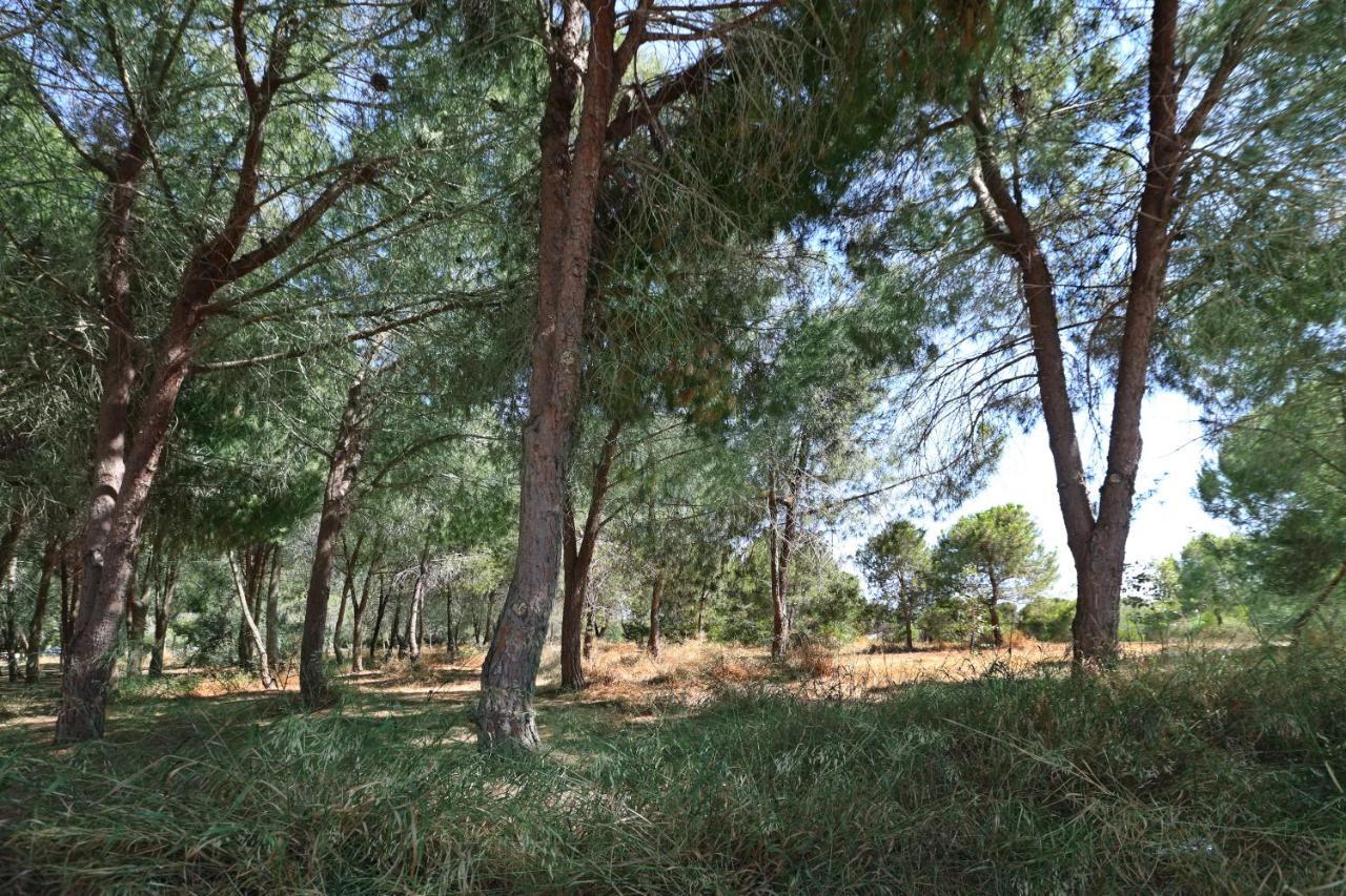 Cozy Holiday Apartment In Larnaca Near Foinikoudes Exteriör bild